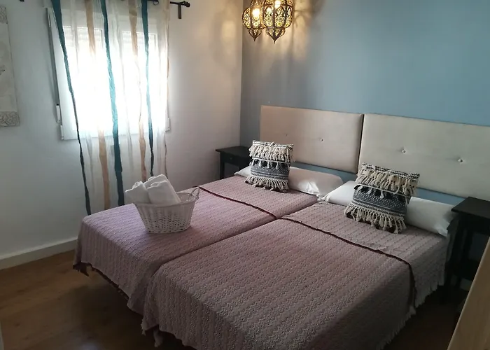 The Monkey 2* 마르베야