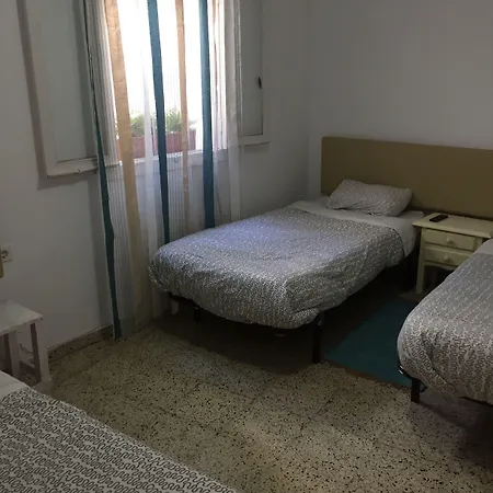 The Monkey 마르베야