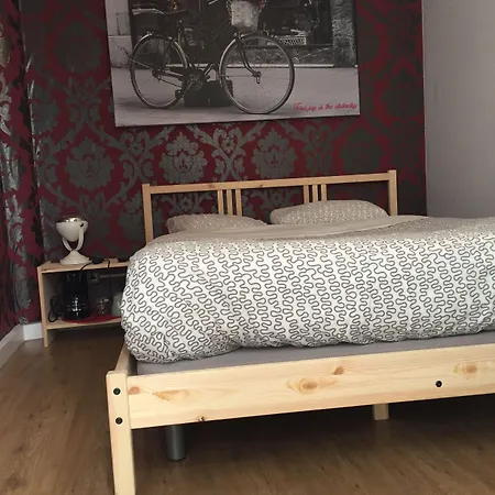 The Monkey 마르베야