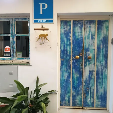 The Monkey 마르베야