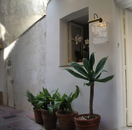 The Monkey Guest house