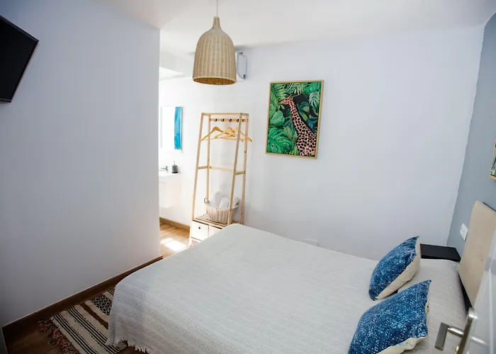 The Monkey Pensión Marbella