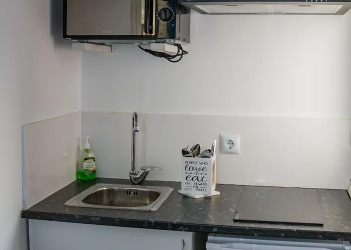 The Monkey Pensión Marbella