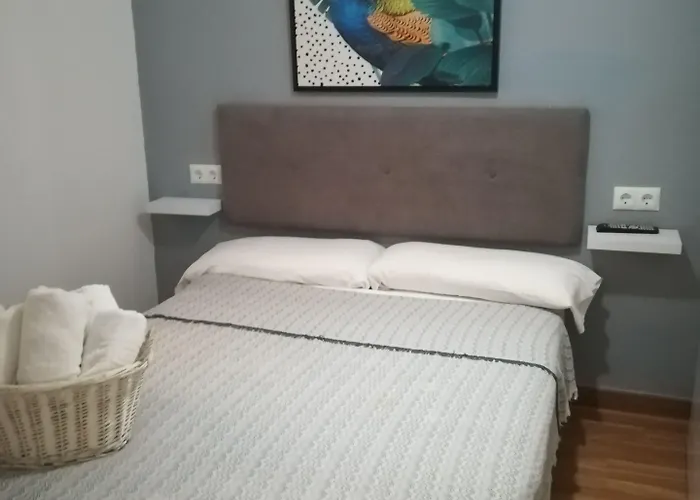 Pensión The Monkey Marbella