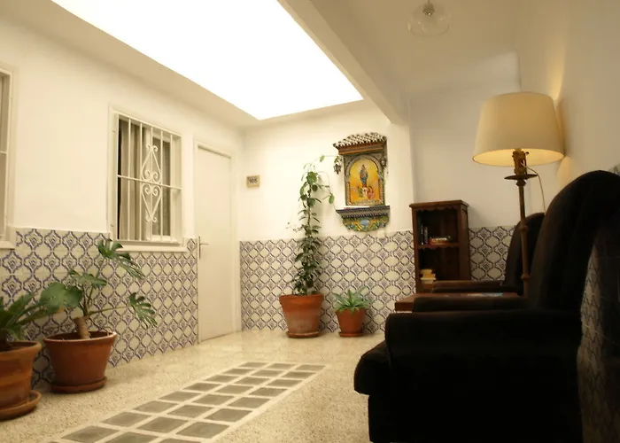 The Monkey Pensión Marbella