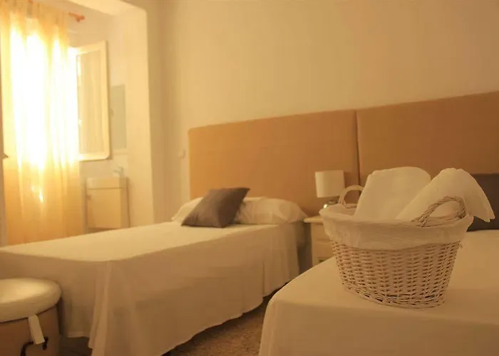 The Monkey Pensión Marbella