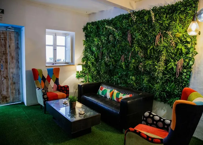 Pensión The Monkey Marbella