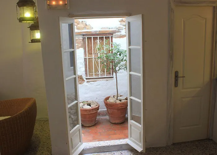 The Monkey 2* 马尔韦利亚