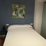 The Monkey
